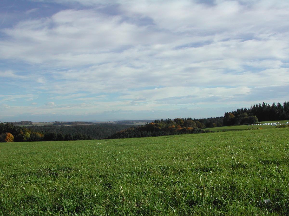 Gasthaus-Pension Zum Kreuz Stuhlingen Luaran gambar