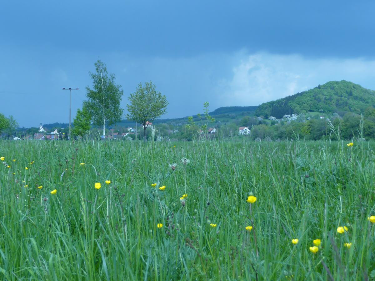 Gasthaus-Pension Zum Kreuz Stuhlingen Luaran gambar
